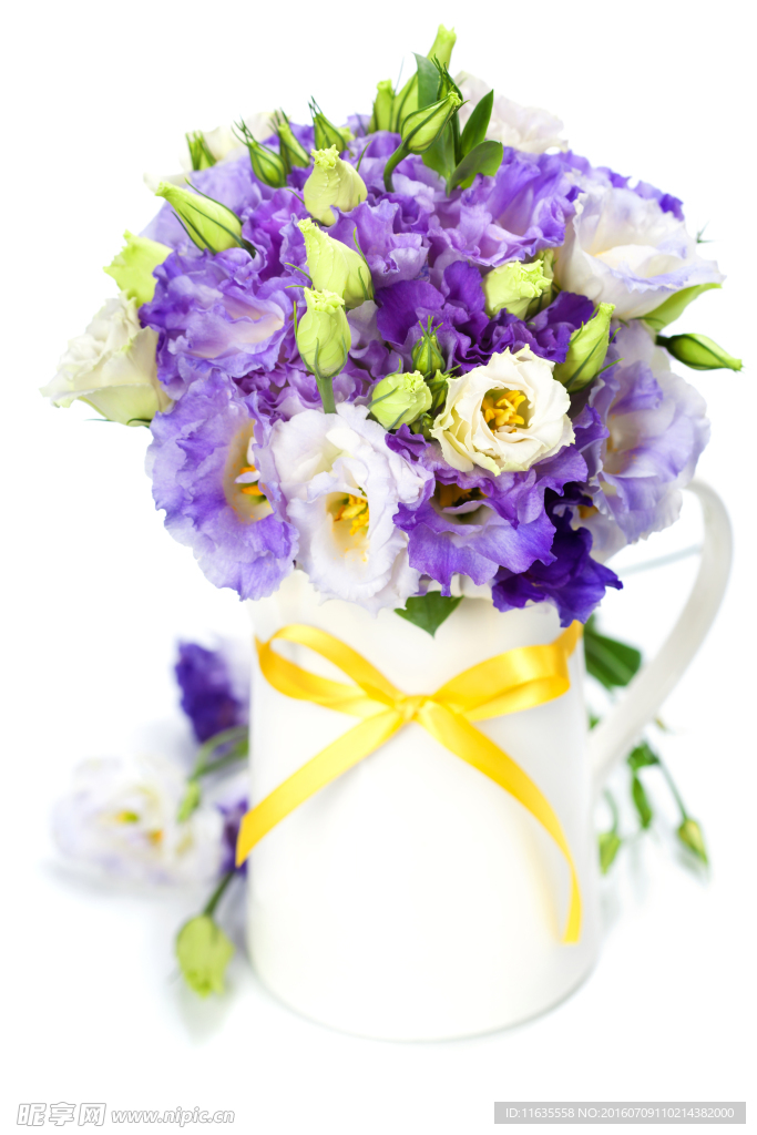 紫色植物花朵花瓶