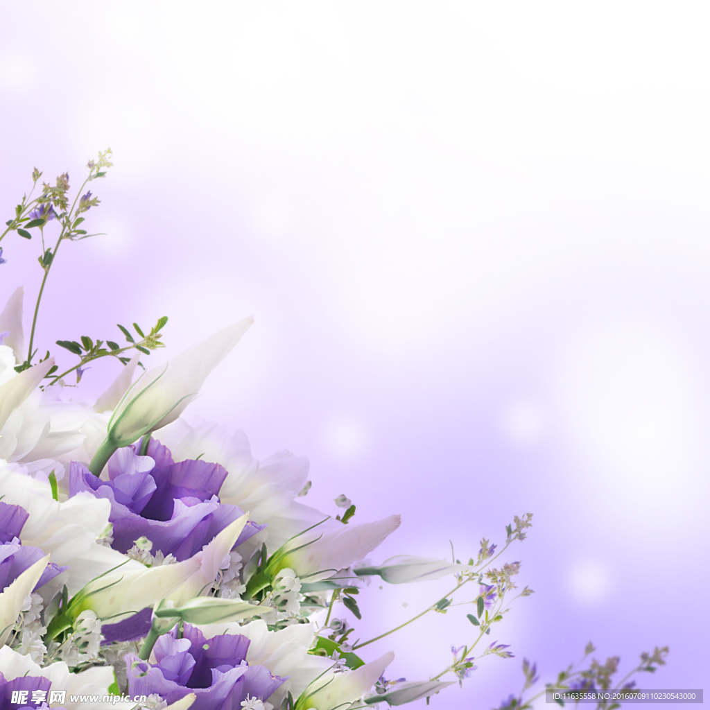 紫色植物花朵花瓶