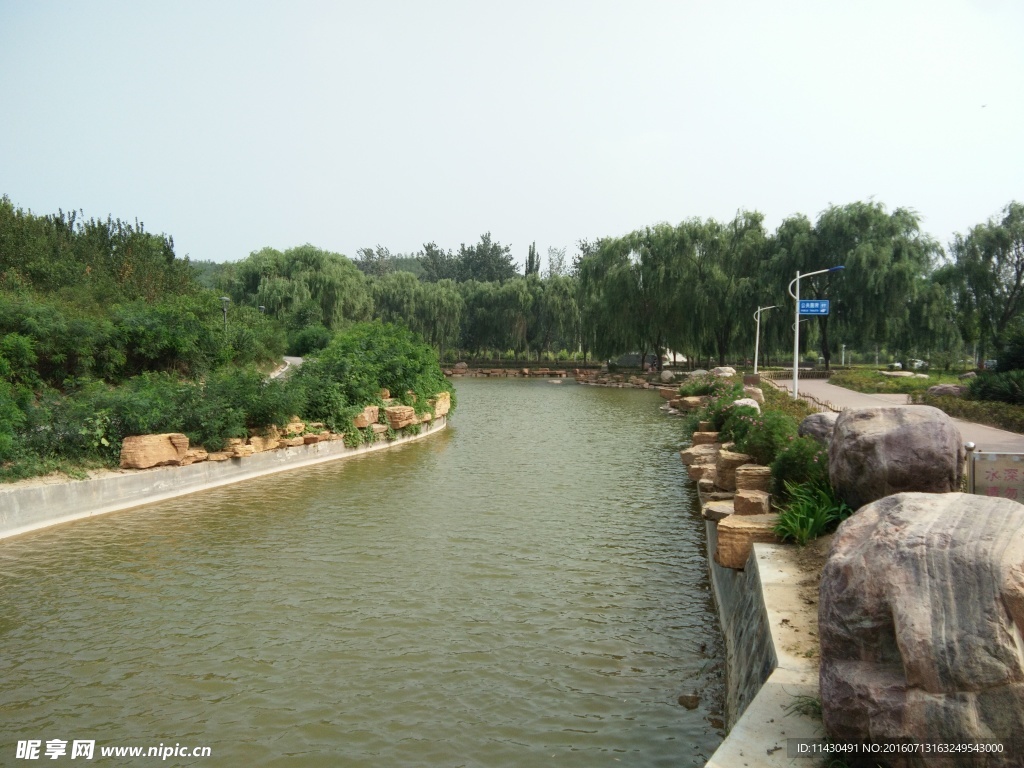 水面 绿树 石头