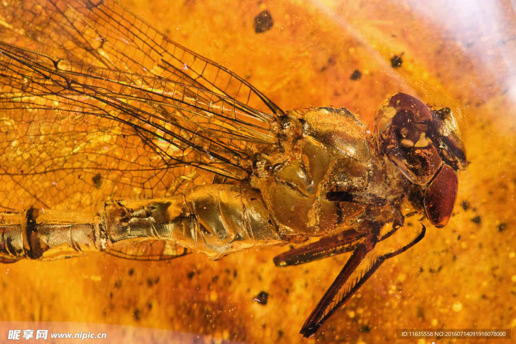 漂亮的黄色石头