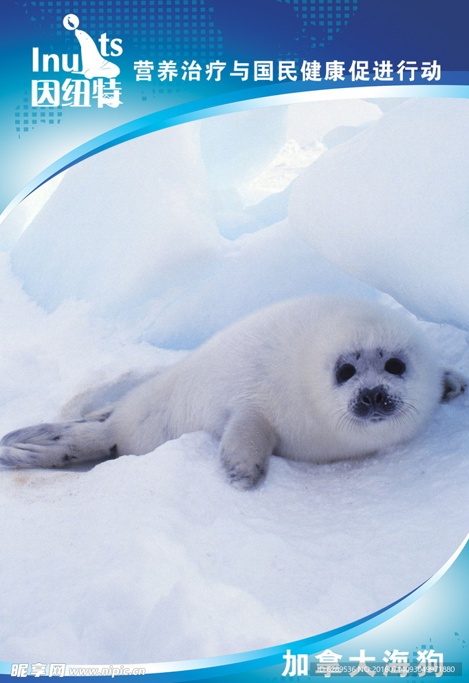 海狗  海报  蓝色 白云