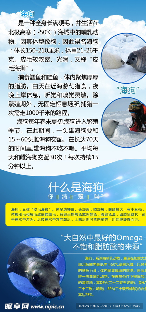 海狗  介绍  蓝色 白云