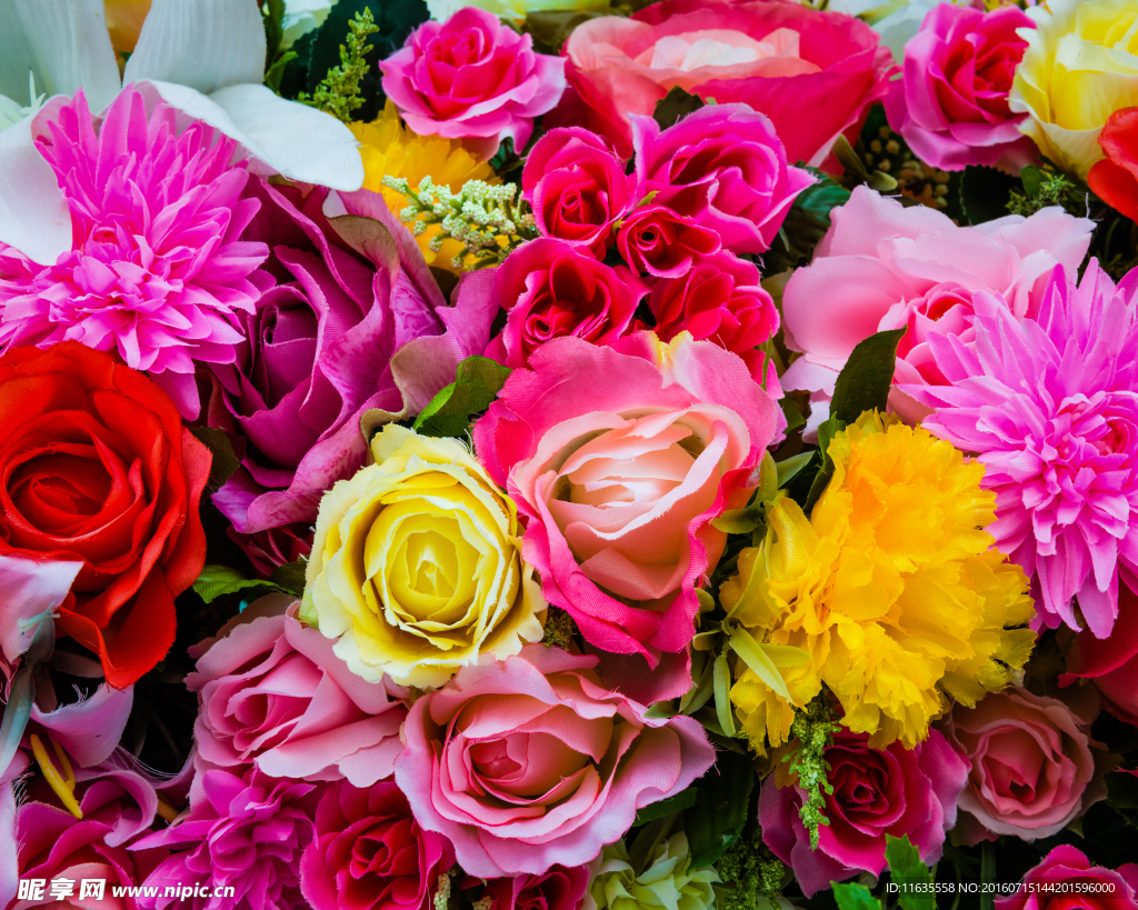 美丽的花朵花卉