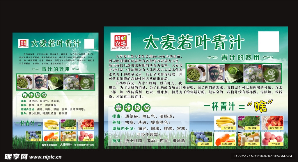 大麦若叶青汁 单页 海报