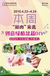 多肉 DIY 盆栽 植物 房产