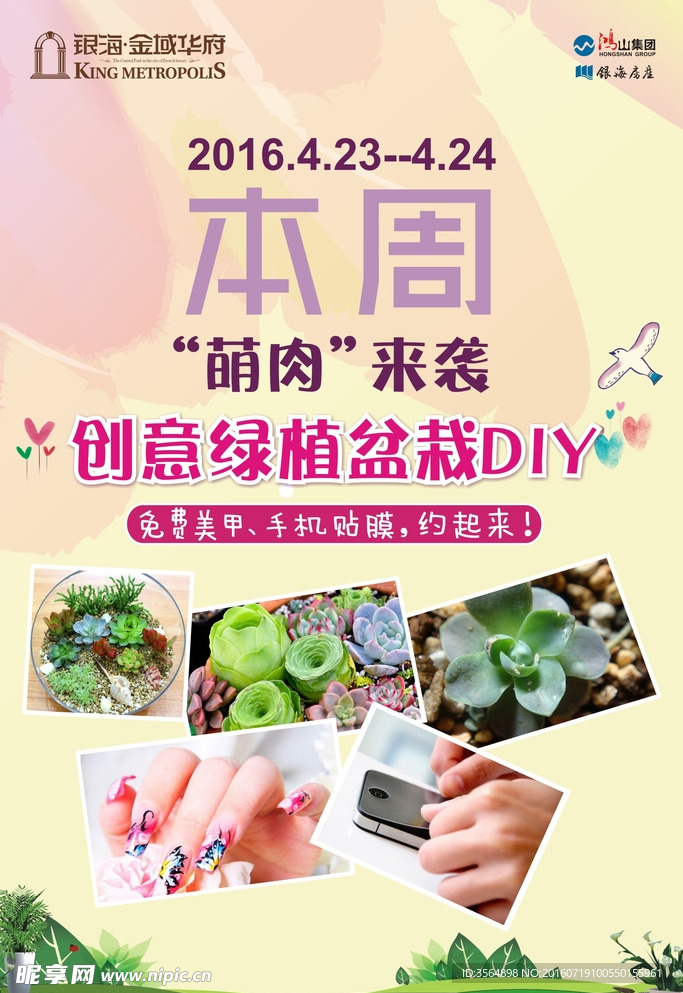 多肉 DIY 盆栽 植物 房产