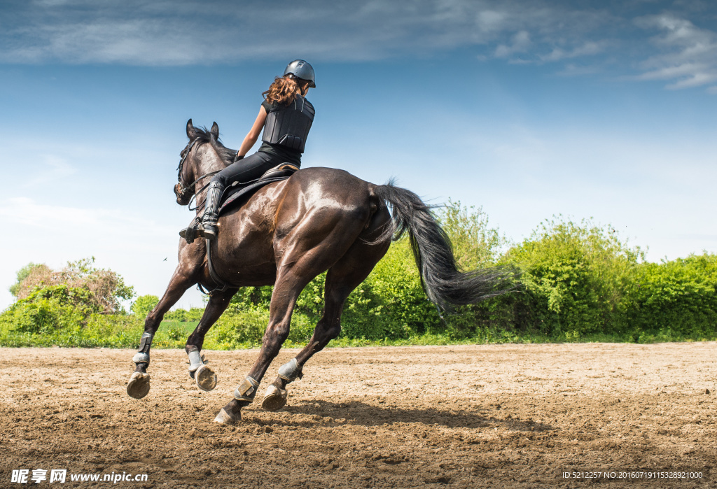 美女骑马