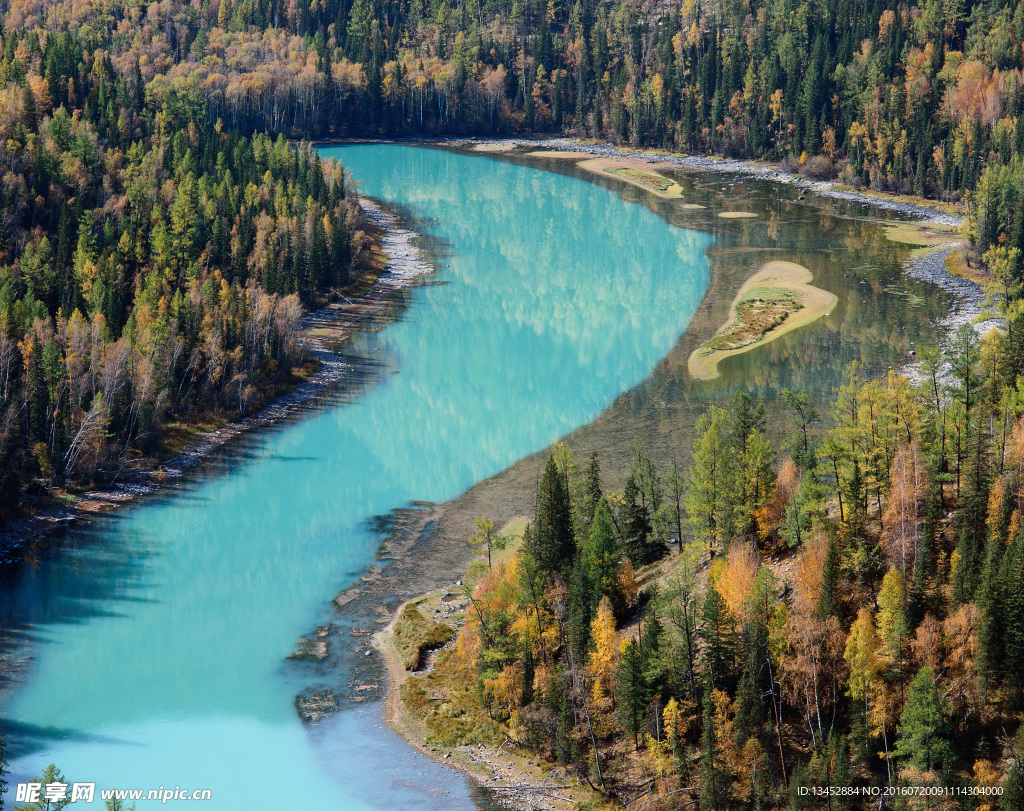穿林而过的河流