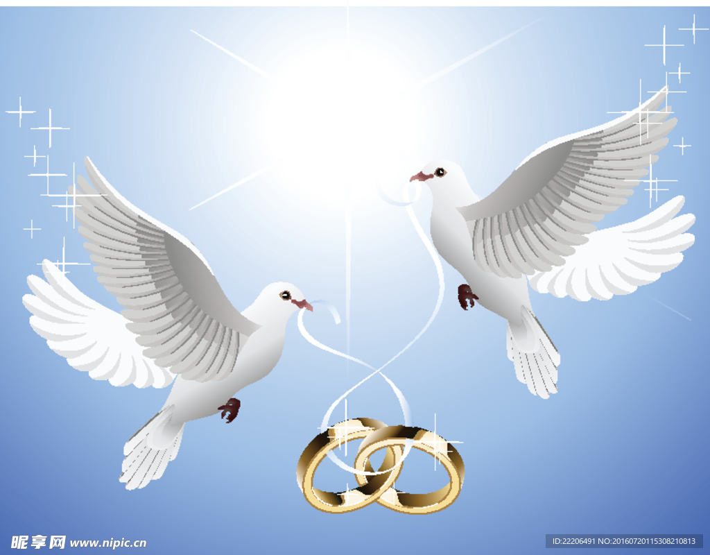 飞翔的和平鸽