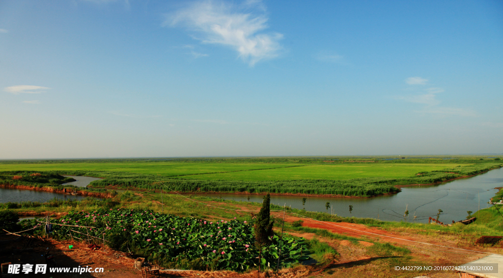 湿地风光