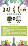 自酿葡萄酒海报