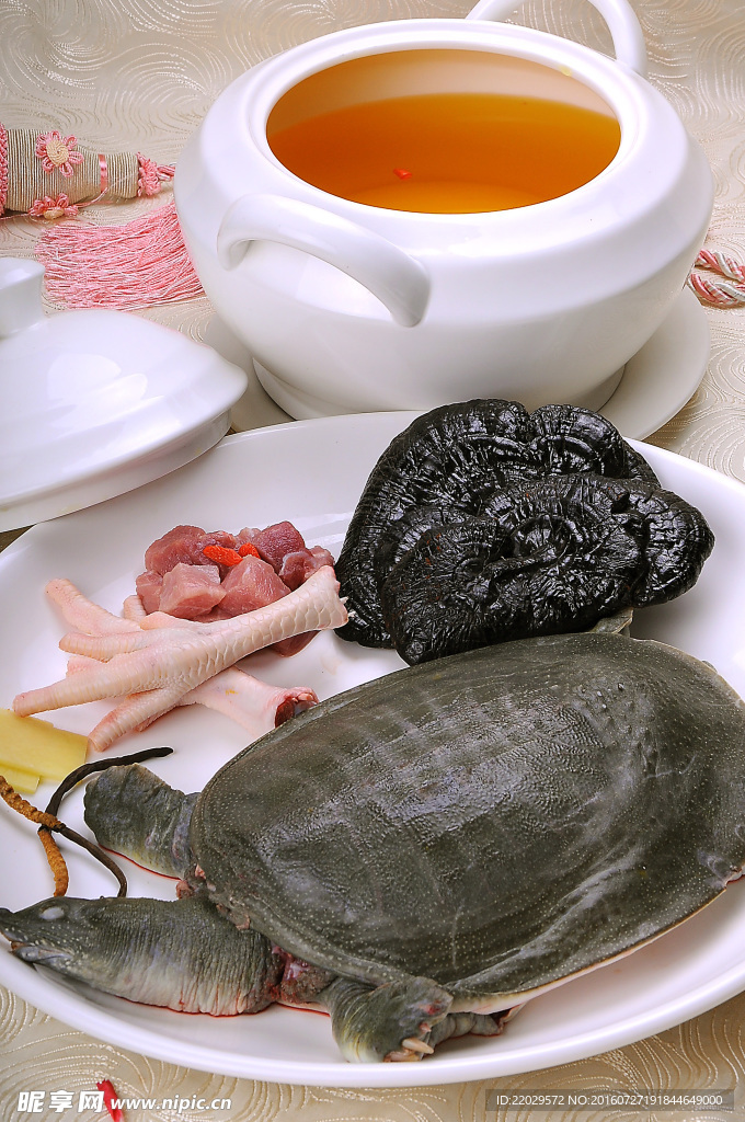 虫草灵芝炖甲鱼