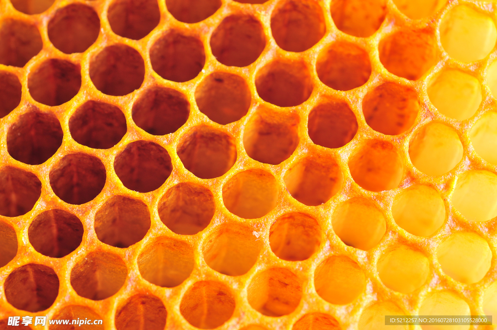 蜂巢与蜂蜜