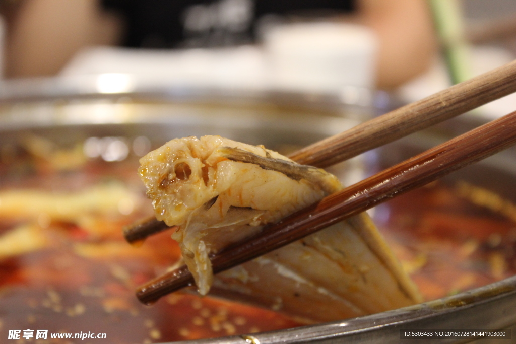 海扁鱼之耗儿鱼