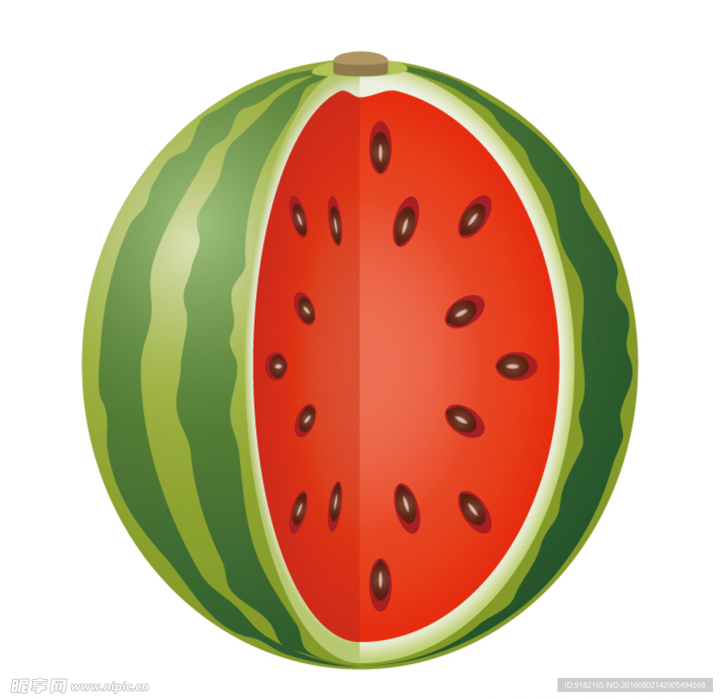 矢量西瓜