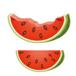 矢量西瓜