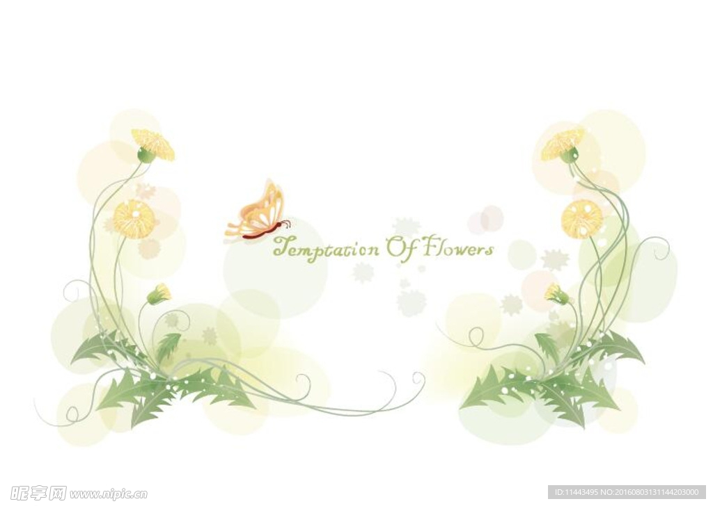 精美花纹花边边框