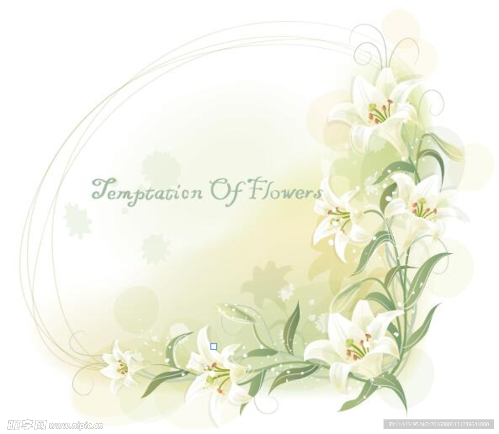 精美花纹花边边框