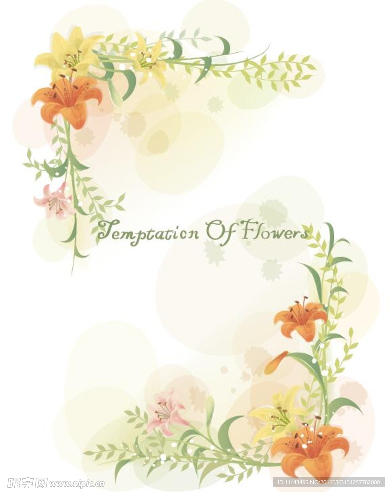 精美花纹花边边框