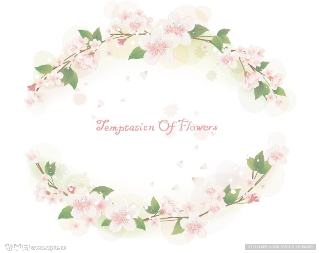 圆形花边矢量图