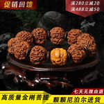 金刚菩提直通车首图