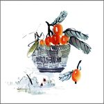国画 果实 杏 李子