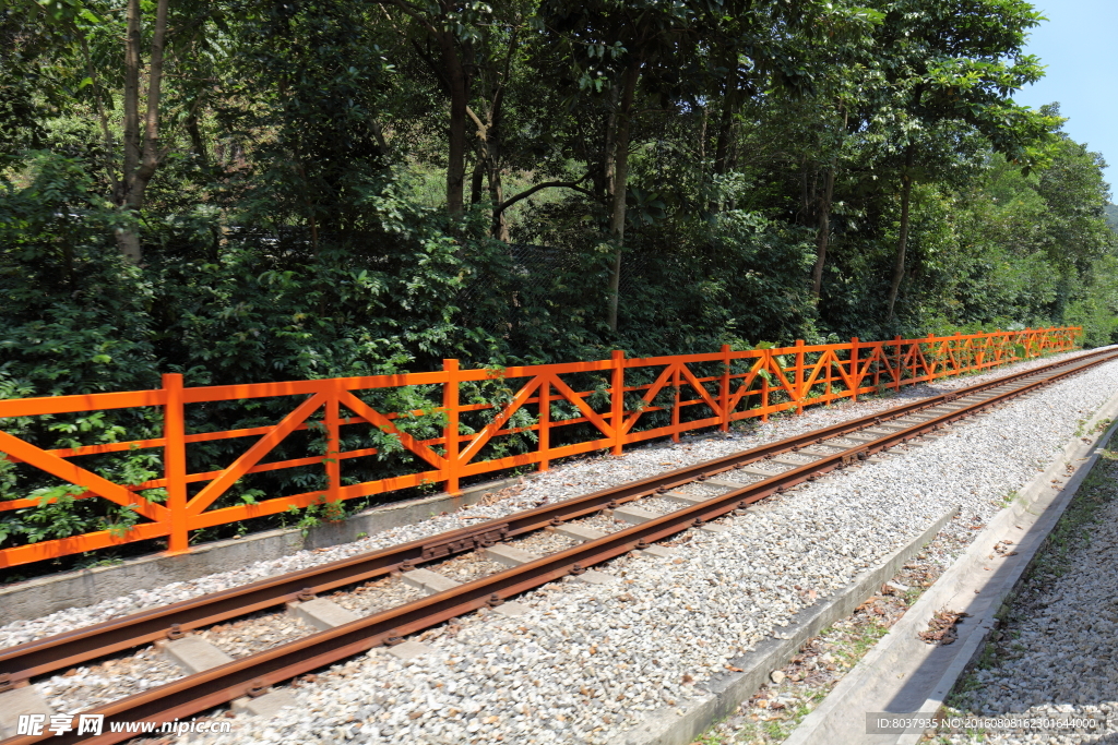 森林小火车铁轨