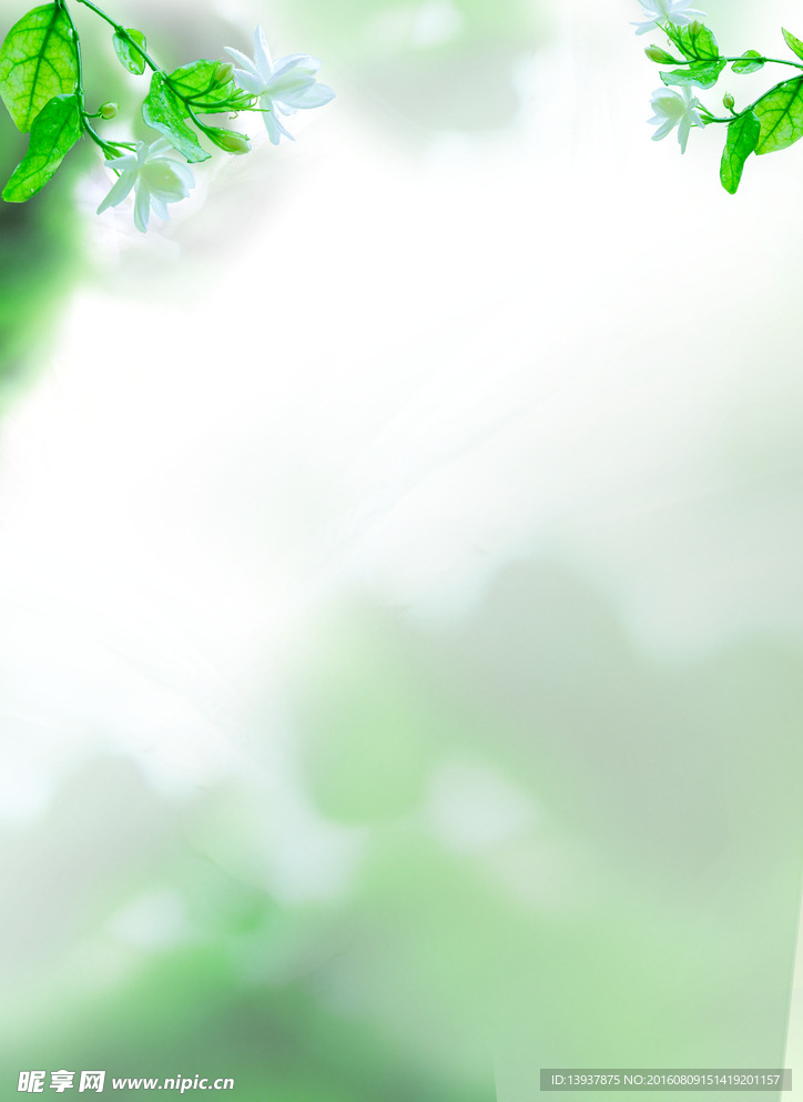 清新绿色海报背景