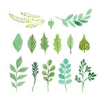 绿色水彩树叶矢量素材