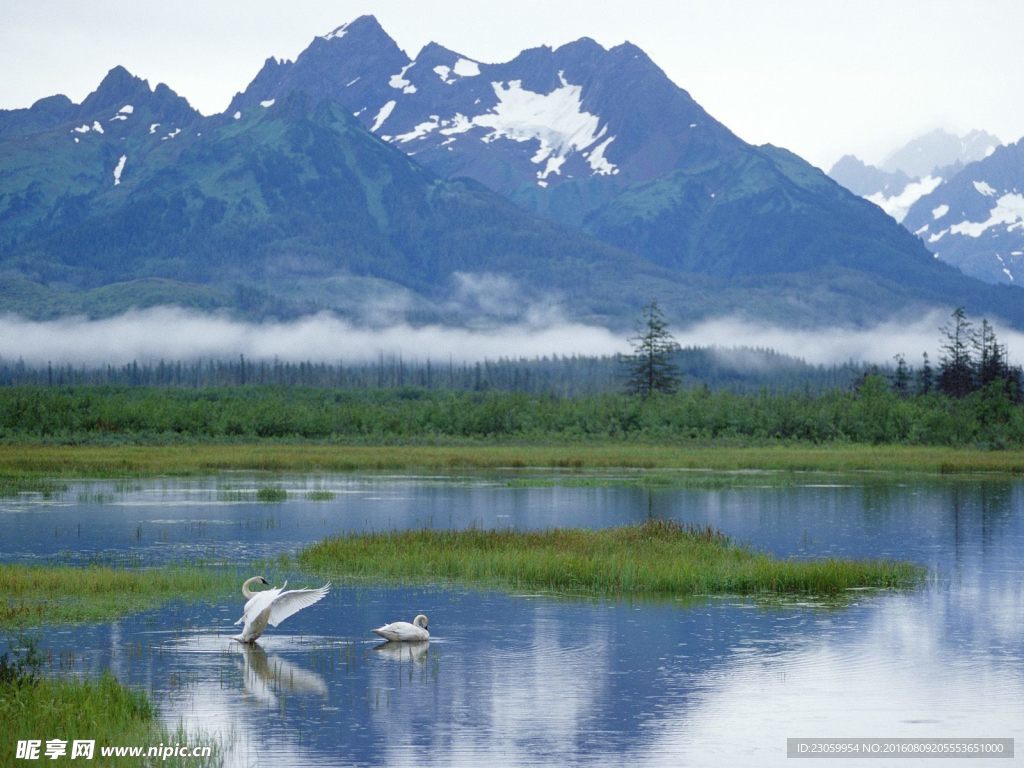 阿拉斯加州南极海域