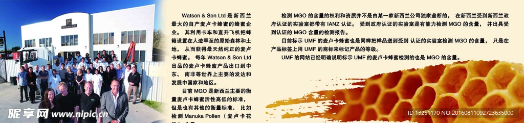 麦卢卡蜂蜜小画册