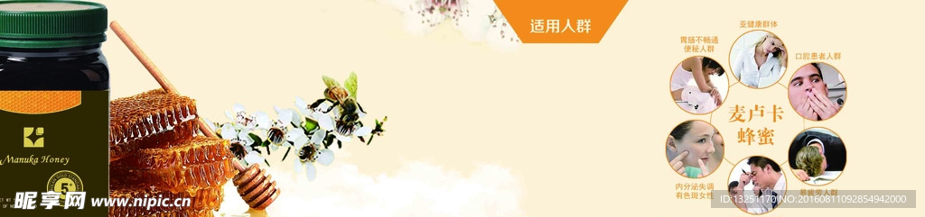 麦卢卡 蜂蜜  折页