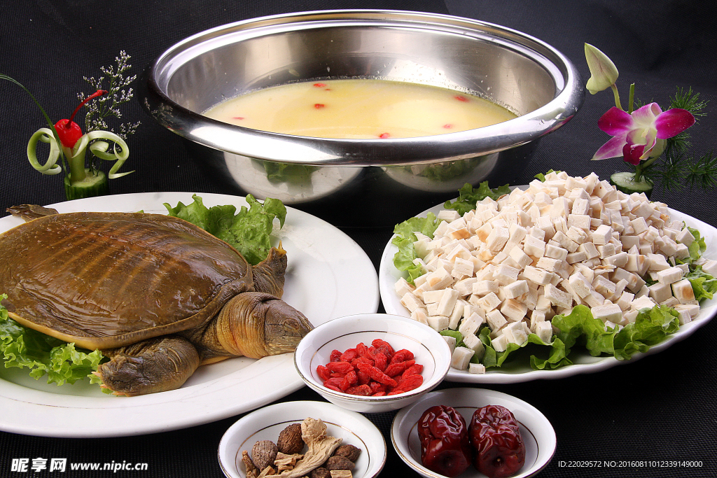 野生甲鱼煮馍斤