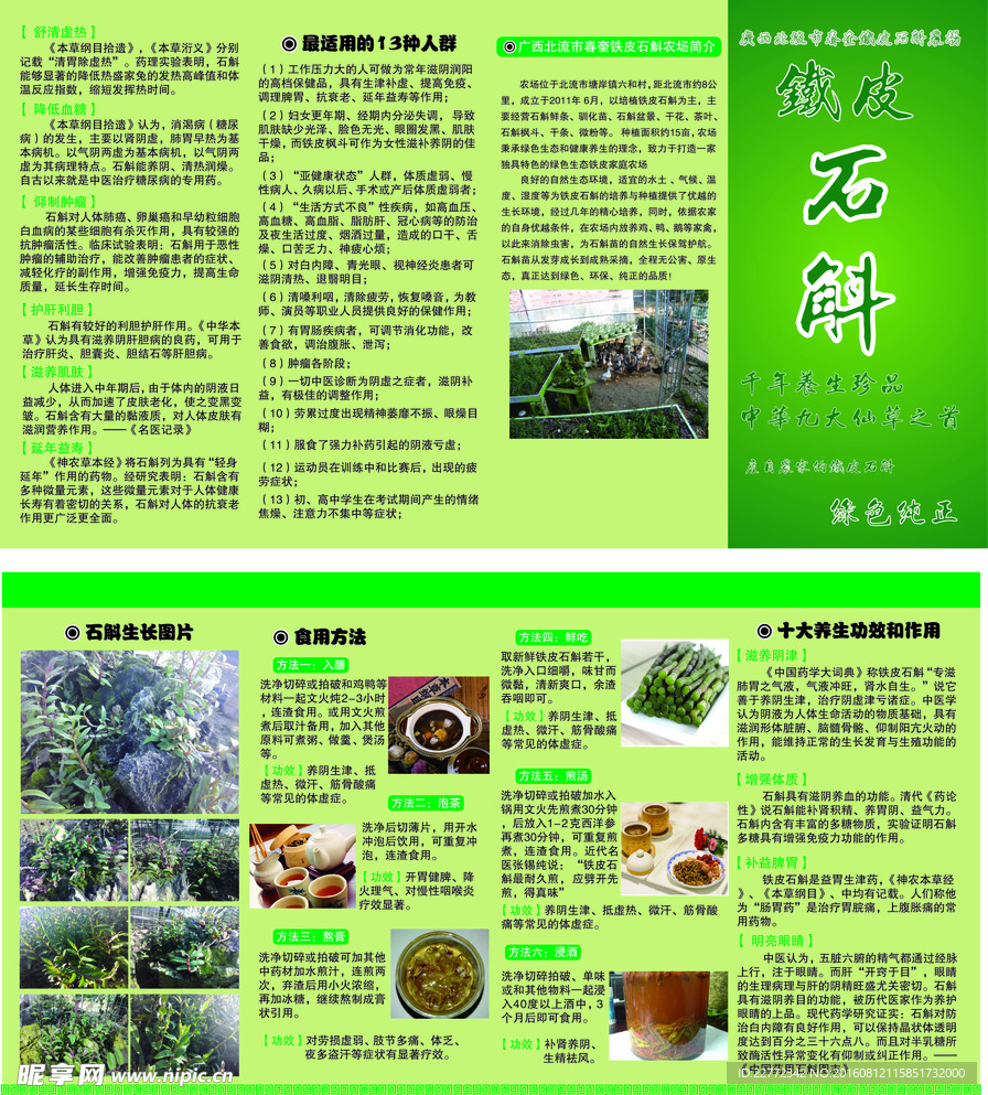 铁皮石斛 4页3折 说明书