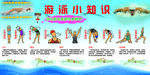 游泳小知识