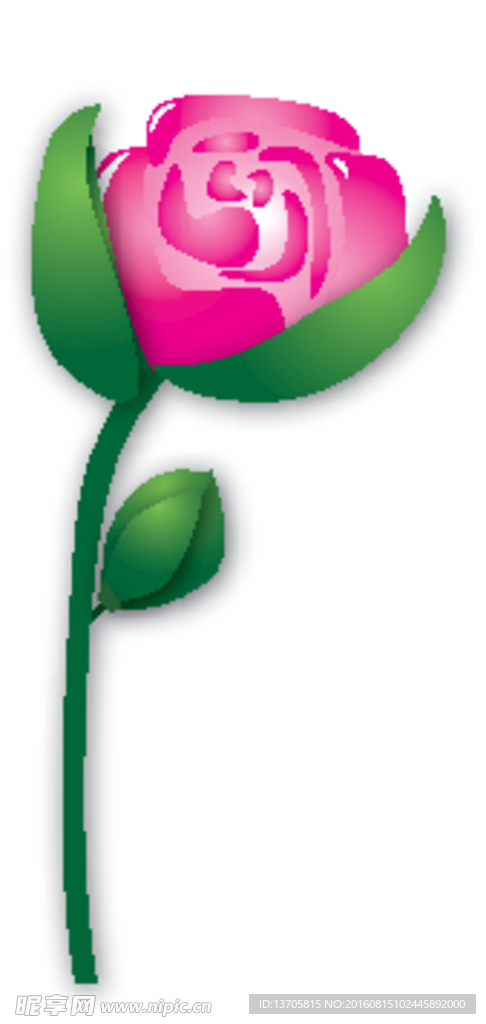 玫瑰矢量