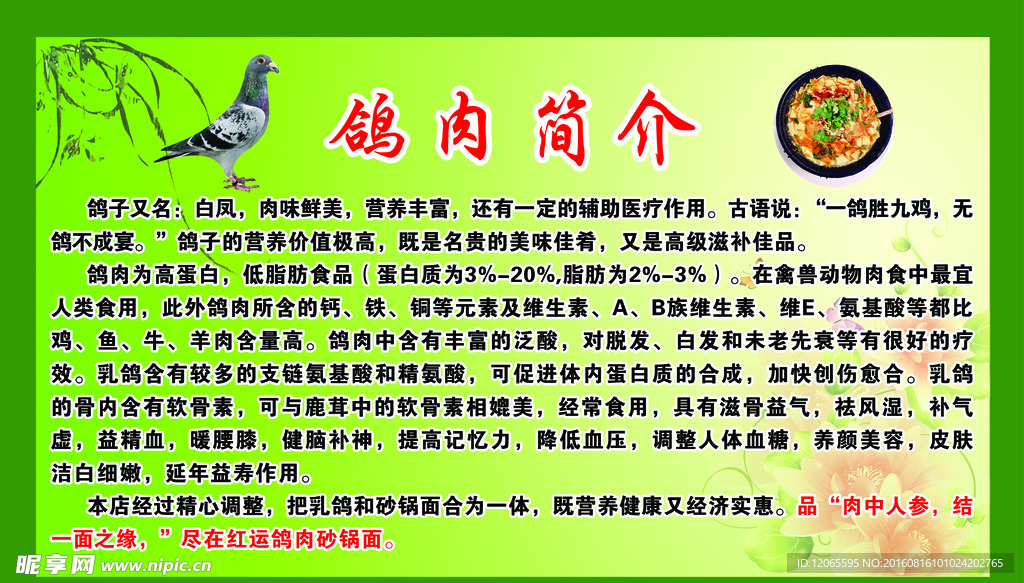 鸽子肉简介