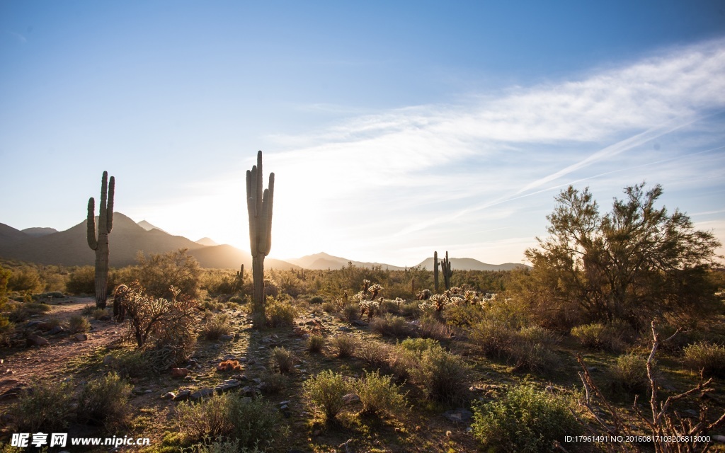 科罗拉多大峡谷