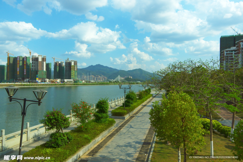 中国桥梁 桥梁建筑