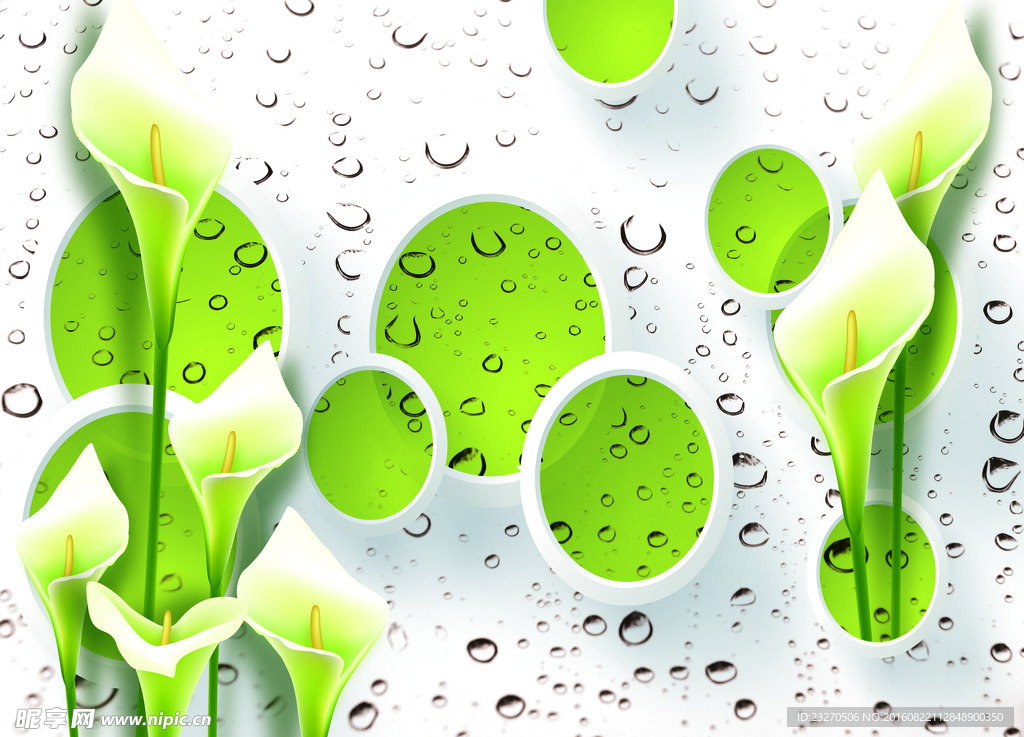 水滴马蹄莲百合圆圈电视墙