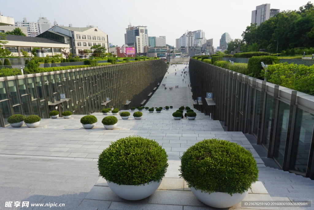 梨花大学图书馆