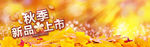 秋天海报