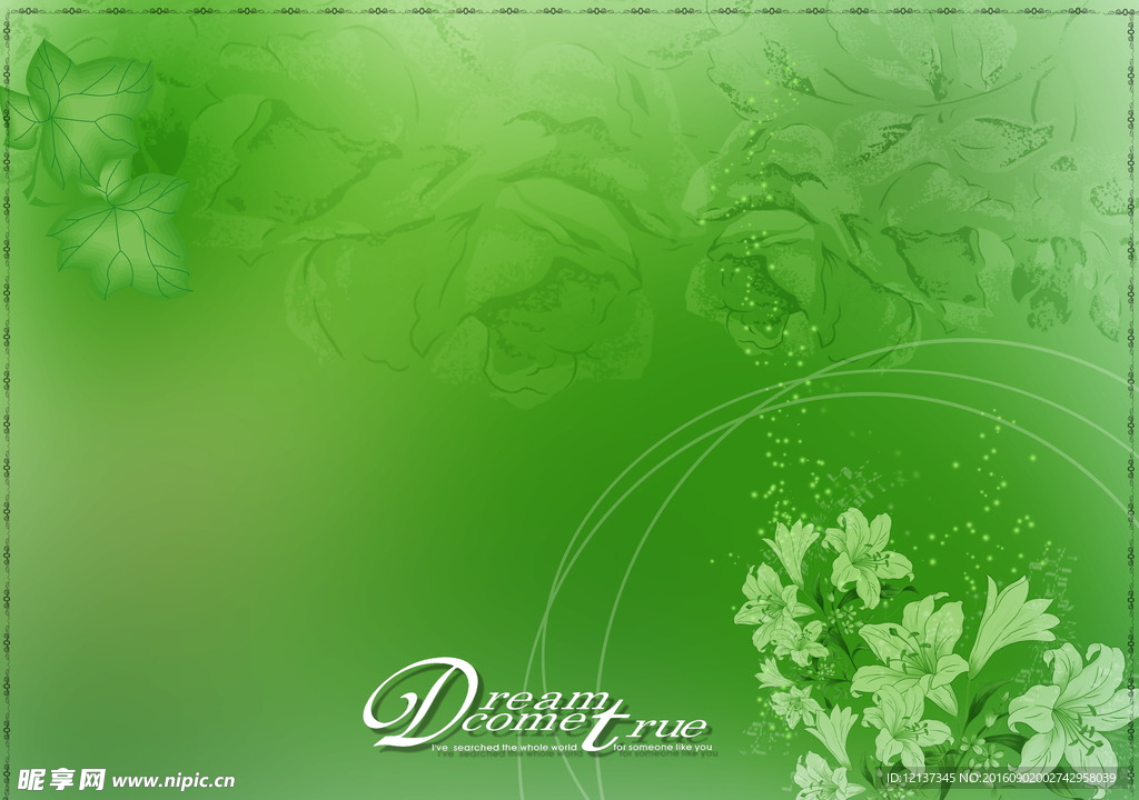 小清新 百合 绿叶