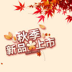 新品上市
