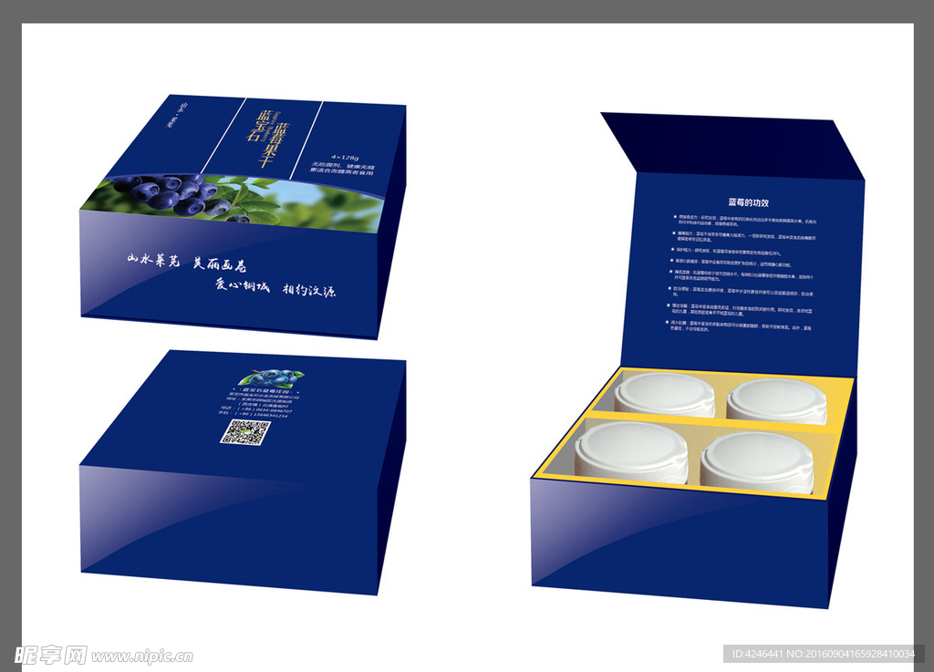 蓝莓干果脯包装盒