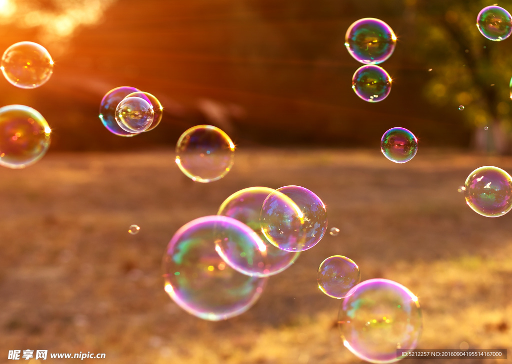 阳光下的泡泡 肥皂泡特写 肥皂