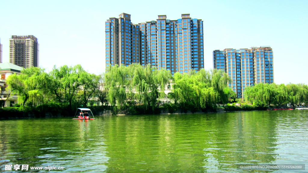 公园边的城市建筑