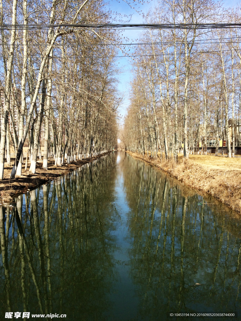 河道美景