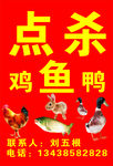 点杀鸡 鸭 鱼
