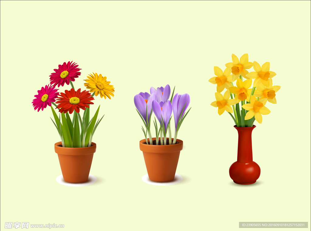 手绘花盆花卉盆花郁金香矢量图